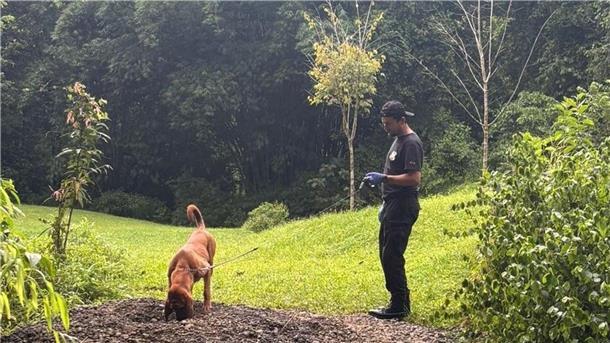 Deutsch-österreichisches Paar in Costa Rica getötet Die Ermittler entdeckten die Leichen mit Hilfe eines Spürhunds.