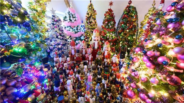 Weltrekordversuch geglückt: 600 Weihnachtsbäume in Rinteln Die Familie Jeromin bricht den eigenen Rekord im Sammeln von Weihnachtsbäumen.