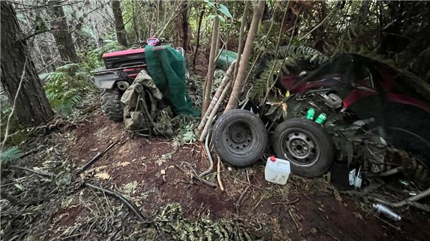 Neuseeland: Erste Fotos vom Camp des Kindesentführers Die Familie soll ihr Versteck immer wieder gewechselt haben.