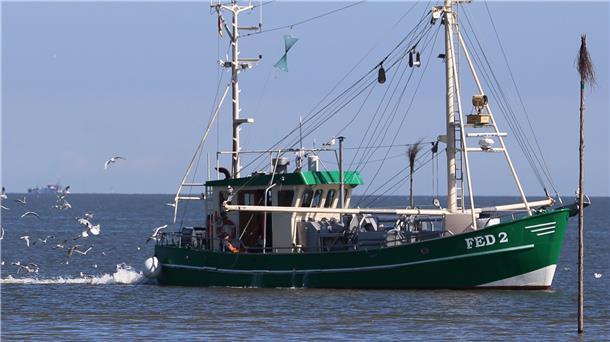 Die Fedderwardersieler Krabbenfischer sind auf eine schiffbare Hafenzufahrt angewiesen. Das Zeitfenster, in dem sie ein- und auslaufen können, ist in den vergangenen Jahren kontinuierlich kleiner geworden.