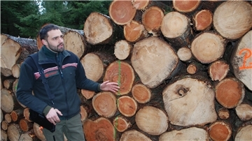 Die Fichten sind auf Länge geschnitten und sauber aufgeschichtet. Revierförster Tobias Loewer weiß, dass es im Wald nicht nur um Naturschutz und Erholung geht, sondern auch um Wirtschaftlichkeit.