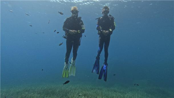 Die Fische scheinen Taucher anhand von Farbmerkmalen ihrer Ausrüstung zu erkennen.