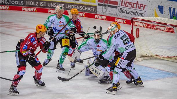 Torszene der Fischtown Pinguins