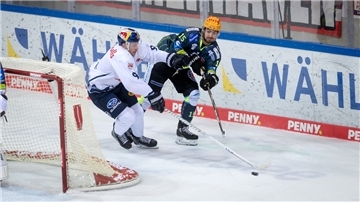 Eishockeyspieler in Aktion