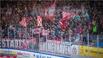 Die Fischtown Pinguins stehen im Halbfinale der Deutschen Eishockey-Liga.