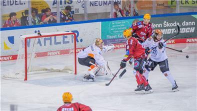 Die Fischtown Pinguins überzeugten gegen Wolfsburg.