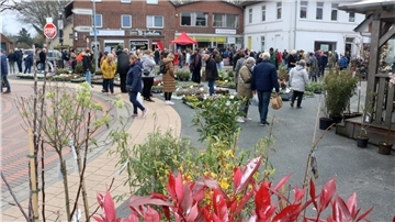 Die Fläche rund um die Piazza war mit Grünpflanzen übersät, die zum Kauf für den eigenen Garten einluden.