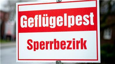 Die für Vögel hochansteckende Vogelgrippe vom Subtyp H5 hat sich im vergangenen Jahr von den Niederlanden nach Deutschland ausgebreitet. Vorher wurden Fälle in Russland, Kasachstan und Israel bekannt. Im Landkreis Cuxhaven ist sie ebenfalls angekommen.