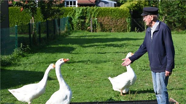81-Jähriger bangt um seine Gänsehaltung Die Gänse im Garten von Ludwig Smidt sind Auslöser eines Nachbarschaftsstreits in Ostfriesland.