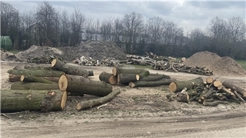 Die Gemeinde verkauft wieder Holz von öffentlichen Flächen.