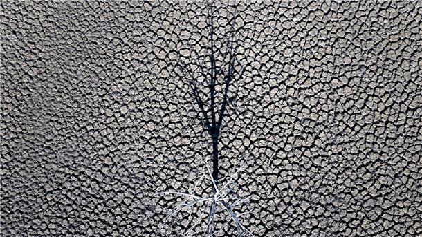 Die globalen Temperaturen steigen weiter an.