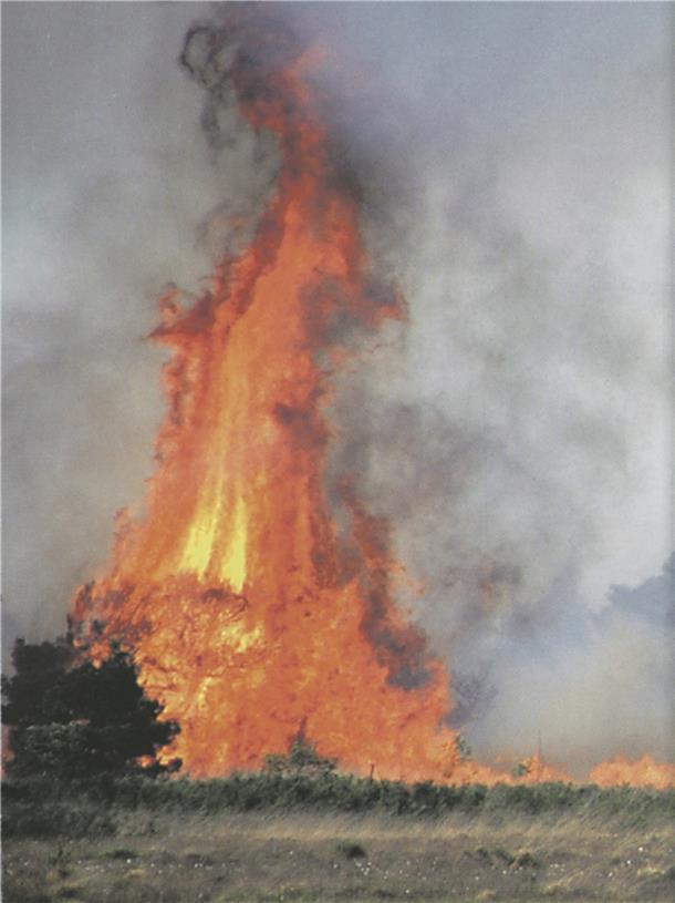 Die Gnarrenburger Gemeindefeuerwehr hat einen "Arbeitskreis Vegetationsbrandbekämpfung" gegründet, dessen konzeptionelle Überlegungen auf reges Interesse in den Wehren im Brandabschnitt Bremervörde stoßen. Unser Foto zeigt acht Meter hohe Flammen bei einem Flächenbrand in Augustendorf im Jahre 2009.