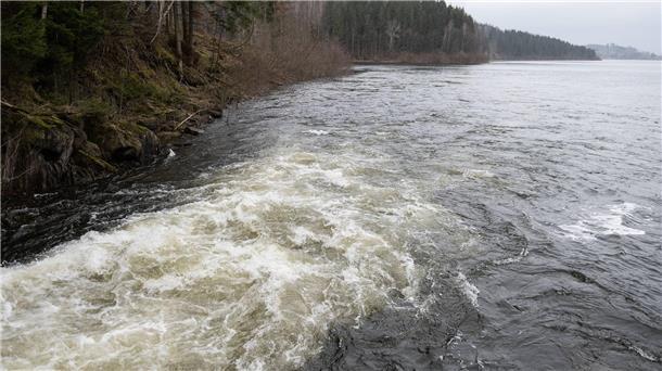 Wenig neues Wasser für die Talsperren - Versorgung gesichert Die Granetalsperre im Harz wird auch aus der benachbarten Okertalsperre mit Wasser gespeist. (Archivbild)