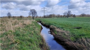 die Grove 