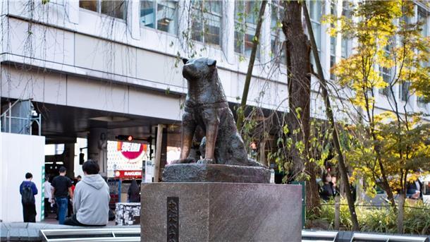 Japans berühmter Hund: Vor 100 Jahren kam Hachiko zur Welt Die Hachiko-Statue am Bahnhof Shibuya in Japans Hauptstadt Tokio.