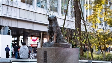 Die Hachiko-Statue am Bahnhof Shibuya in Japans Hauptstadt Tokio.