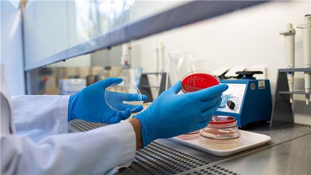 Häufung von Ehec-Infektionen - wie gefährlich ist das? Die Häufung weckt Erinnerungen an einen Ausbruch in Deutschland im Jahr 2011, bei dem rund 3.800 Erkrankungen erfasst wurden und mehr als 50 Menschen starben. (Archivbild)