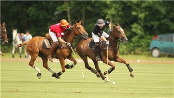 Polo-Turnier, Appel
