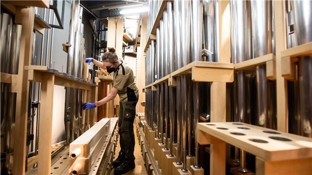 Elbphilharmonie putzt 4765 Orgelpfeifen Hendrik Dünnebacke, Auszubildender im Orgelbau, setzt einzelne Flöten nach der Reinigung in die Orgel in der Elbphilharmonie.