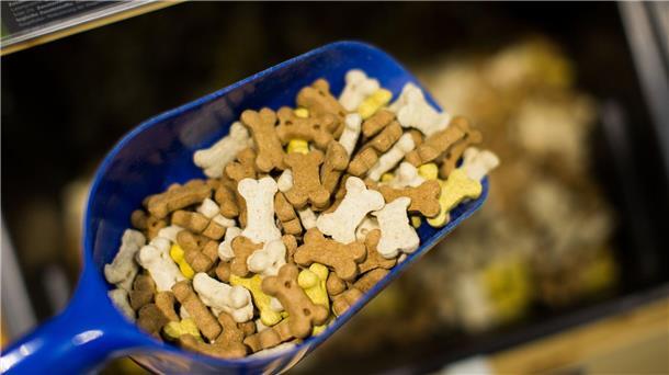 Tierfutter seit 2020 mehr als ein Drittel teurer Die Hersteller von Tierfutter waren in den vergangenen Jahren ebenfalls mit steigenden Kosten konfrontiert.