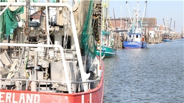 Krabbenkutter im Alten Fischereihafen in Cuxhaven
