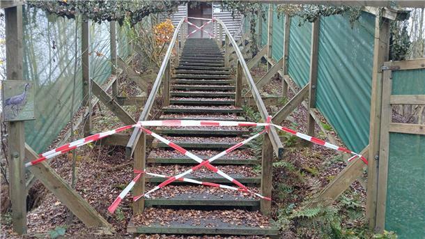 Beliebte „Kranichschanze“ bleibt geschlossen - NABU hat Tipps für Naturfreunde Treppe gesperrt