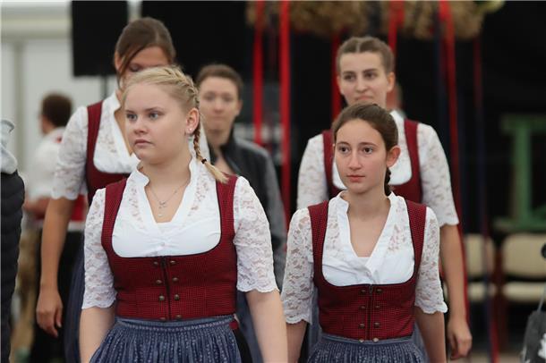 Die Landjugend Hepstedt stellte in diesem Jahr wieder ein tolles Erntefest auf d...