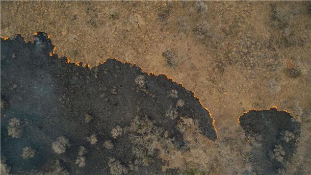 Indigene Feuerwehrleute kämpfen in Brasilien gegen Flammen Die Luft flimmert vor Hitze, während sich die Flammen durch das trockene Gras fressen.