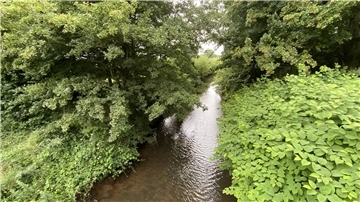 Die Lune, ein Nebenfluss der Weser bei Beverstedt. 