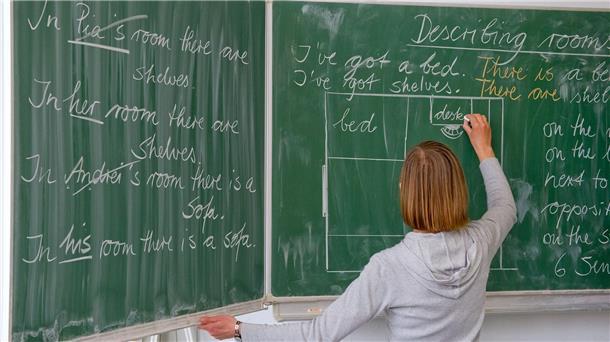Die meisten Lehrerinnen und Lehrer machen ihre Arbeit gern.