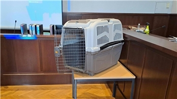 Die Mutter sperrte das Kind mehrfach für Stunden in eine Hundebox.