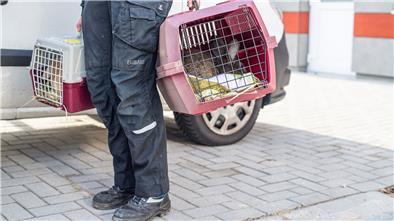 Die Nager durften als erste umziehen: Das Tierheim Bremerhaven hat ein neues Domizil im Vieländer Weg bezogen.