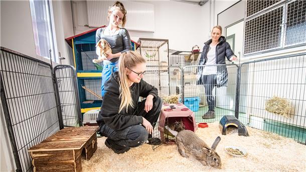 Die Nager durften als erste umziehen: So sieht das neue Heim der Kaninchen aus.