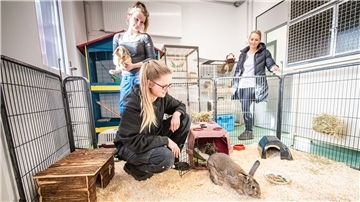 Die Nager durften als erste umziehen: So sieht das neue Heim der Kaninchen aus.