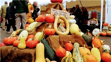 Die Namensgeber des Kürbisfestes werden am 9. Oktober in Varel in Hülle und Fülle zu finden sein.
