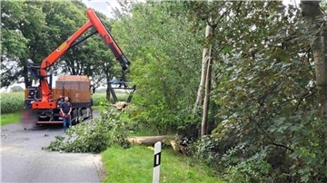  Feuerwehr befreit Straße in Spaden von Baum 