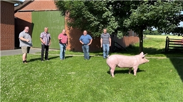 Die Ortsvorsteher machen mit einer Aktion als Trost für den abgesagten Dedesdorfer Schweinemarkt auf sich aufmerksam.