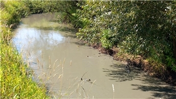 Die Oste bei Weertzen am 13. August. Bentonit trübt das Wasser. 