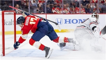 Die Panthers holten zum Start einen Heimsieg.