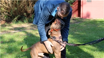Mann und Hund mit Maulkorb