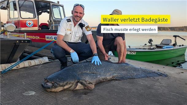 Die Polizei hat ein Foto des erlegten Riesenwels veröffentlicht.