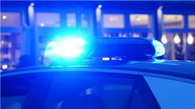 Hängebauchschwein „Peppa“ stoppt Verkehr in Bremen Die Polizei in Bremen muss ein störrisches Hängebauchschwein von der Straße bewegen. (Symbolbild)