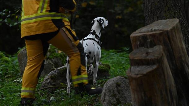 Die Polizei suchte auch mit Hunden nach dem vermissten Fabian. 