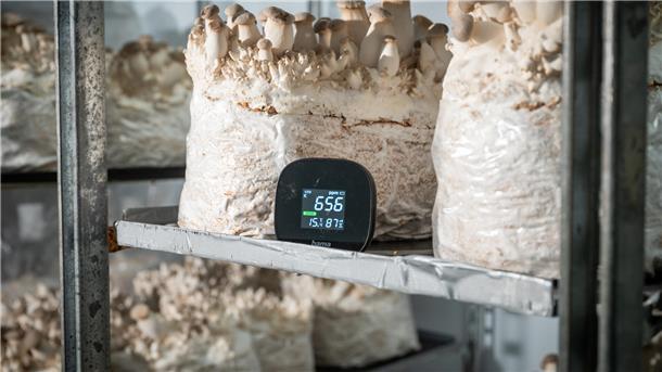 Die richtige Temperatur ist enorm wichtig, damit die Pilze in Peter Wolters‘ Zuchtanlage gut gedeihen.