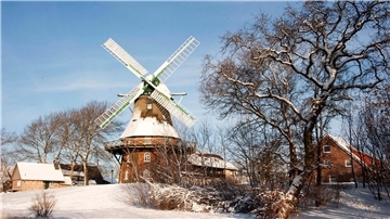 Mühle Midlum