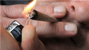 Die rot-grün-rote Landesregierung lockert ab 1. April die Strafverfolgung für Cannabis-Konsumenten.