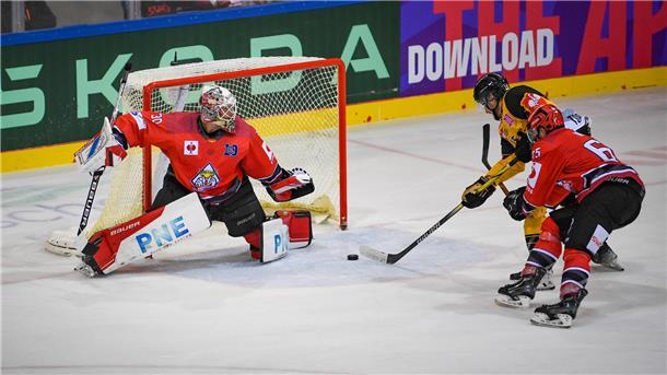 Die CHL-Playoffs winken: Pinguins feiern Sieg gegen Rouen Die Rouen Dragons gingen durch Jared Dmytriw mit 2:1 in Führung.