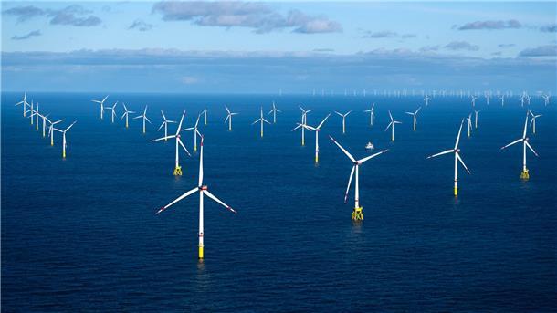 Offshore-Windpark mit vielen Windrädern in der Nordsee