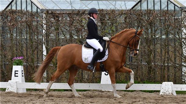 Die Selsingerin Lilly Marie Heins, hier mit Melli's Dakari, gehörte zu den erfolgreichsten Dressurreitern des Turniers.