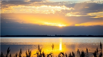 Die Sonne geht über dem Steinhuder Meer in der Region Hannover auf.